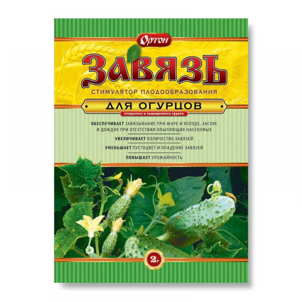 Завязь для огурцов